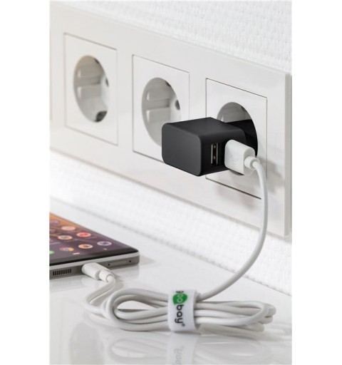 Goobay 44951 mobile device charger Black Indoor