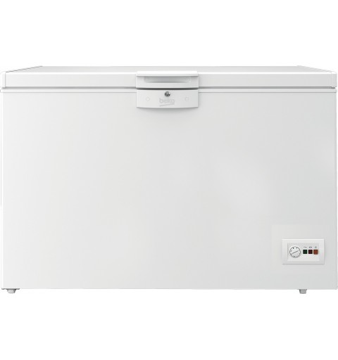 Beko HSA29540N Industrieller Kühl Gefrierschrank Freistehend E