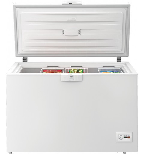 Beko HSA29540N Industrieller Kühl Gefrierschrank Freistehend E