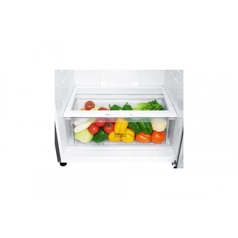 LG GTF744PZPZD Kühl- und Gefrierkombination Freistehend 509 l E Edelstahl
