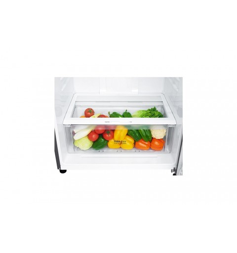 LG GTF744PZPZD Kühl- und Gefrierkombination Freistehend 509 l E Edelstahl