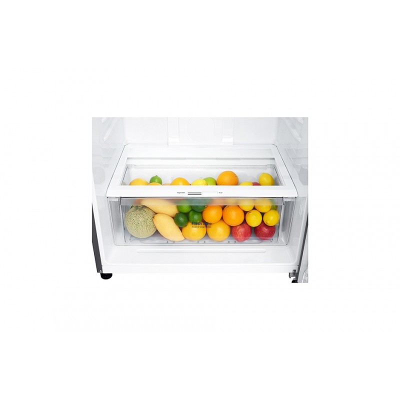 LG GTF744PZPZD Kühl- und Gefrierkombination Freistehend 509 l E Edelstahl