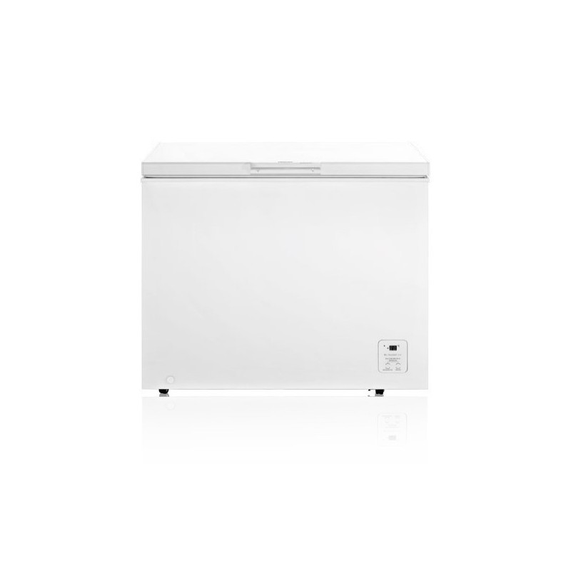 Hisense FC319D4AW1 Industrieller Kühl Gefrierschrank Freistehend F