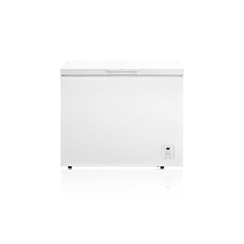 Hisense FC319D4AW1 réfrigérateur et congélateur commerciaux Autoportante F