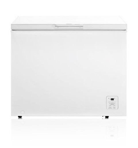 Hisense FC319D4AW1 commercial refrigerator freezer Freestanding F