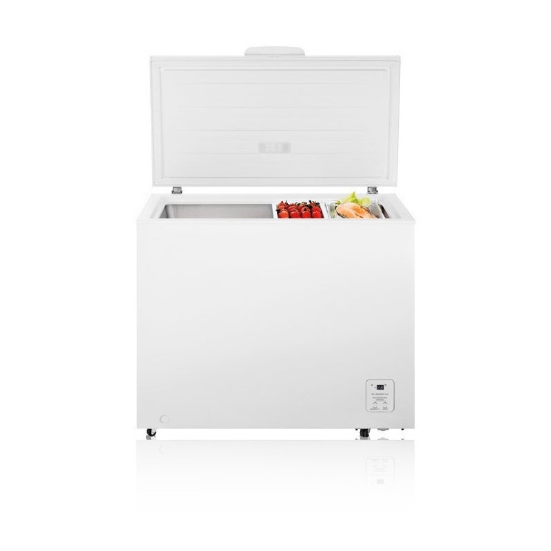 Hisense FC319D4AW1 commercial refrigerator freezer Freestanding F