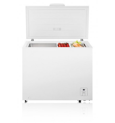 Hisense FC319D4AW1 Industrieller Kühl Gefrierschrank Freistehend F