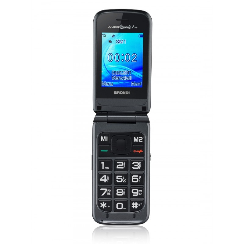 Brondi Amico Grande 2 LCD 6,1 cm (2.4") Titanio Telefono cellulare basico