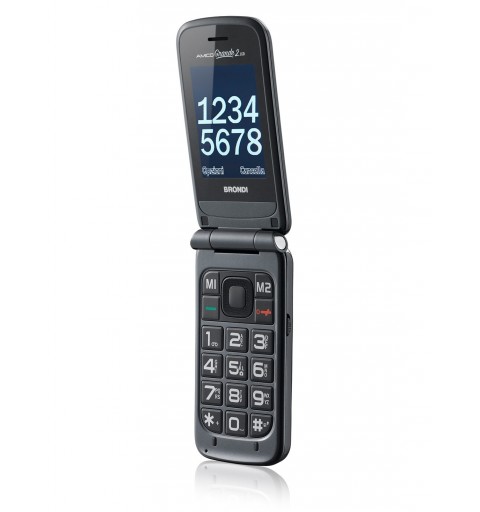 Brondi Amico Grande 2 LCD 6,1 cm (2.4") Titanio Telefono cellulare basico