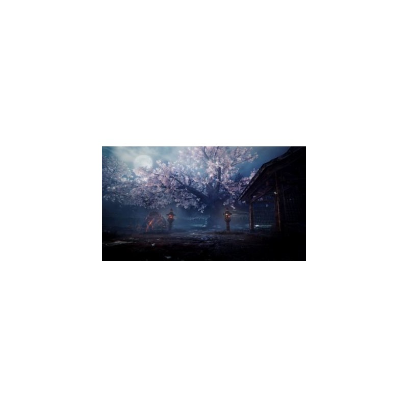 Sony Nioh 2, PS4 Standard Anglais, Italien PlayStation 4