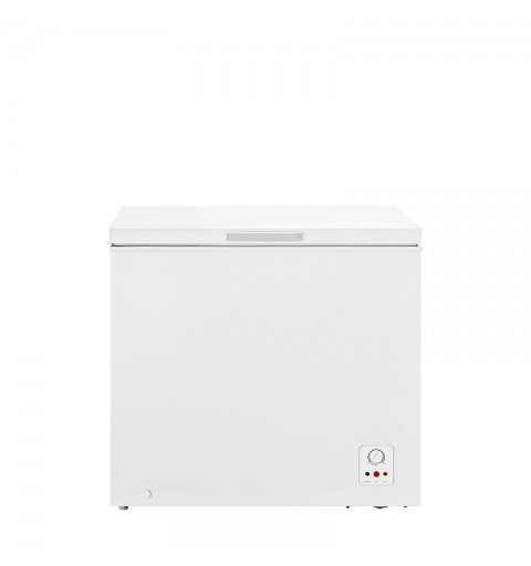 Hisense FC258D4AW1 frigorifero e congelatore commerciali Libera installazione F