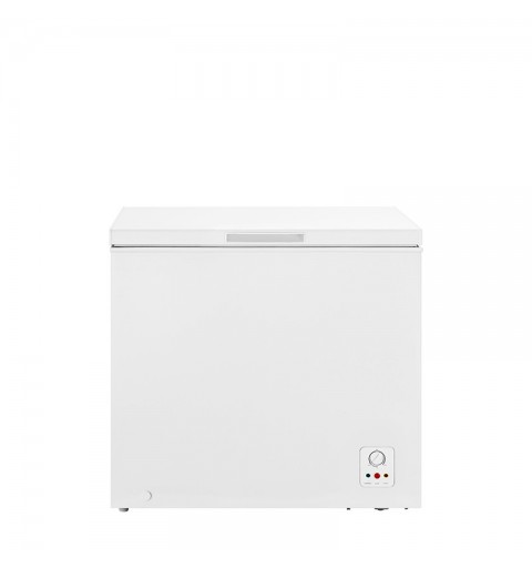 Hisense FC258D4AW1 Industrieller Kühl Gefrierschrank Freistehend F