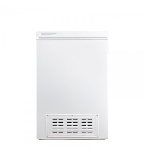 Hisense FC258D4AW1 Industrieller Kühl Gefrierschrank Freistehend F