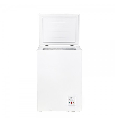 Hisense FC125D4AW1 Industrieller Kühl Gefrierschrank Kühltruhe 95 l Freistehend F