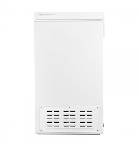 Hisense FC125D4AW1 Industrieller Kühl Gefrierschrank Kühltruhe 95 l Freistehend F