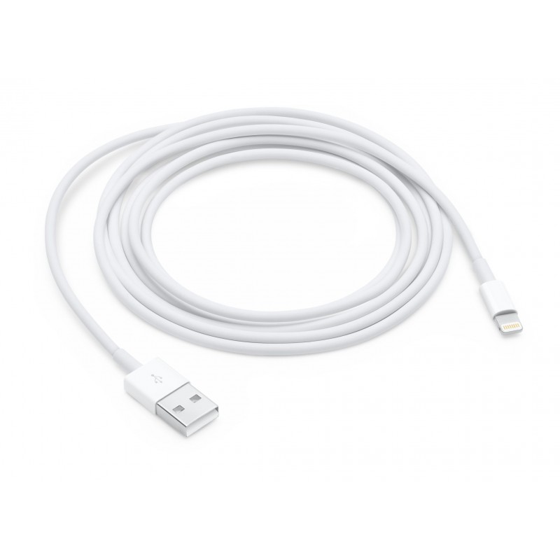 Apple Cavo da Lightning a USB (2 m)