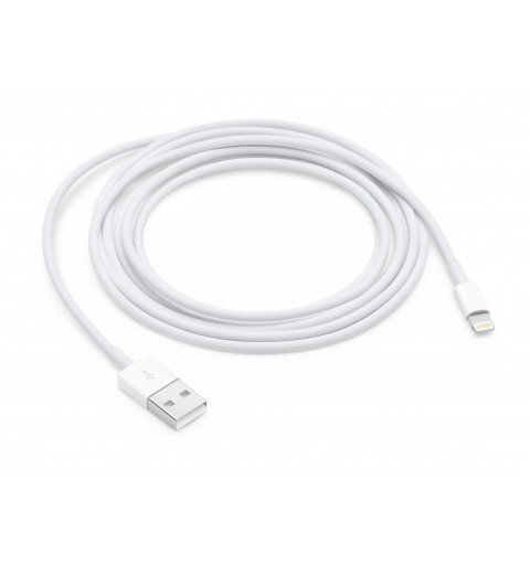 Apple Cavo da Lightning a USB (2 m)