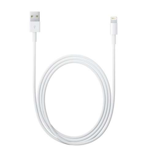 Apple Cavo da Lightning a USB (2 m)