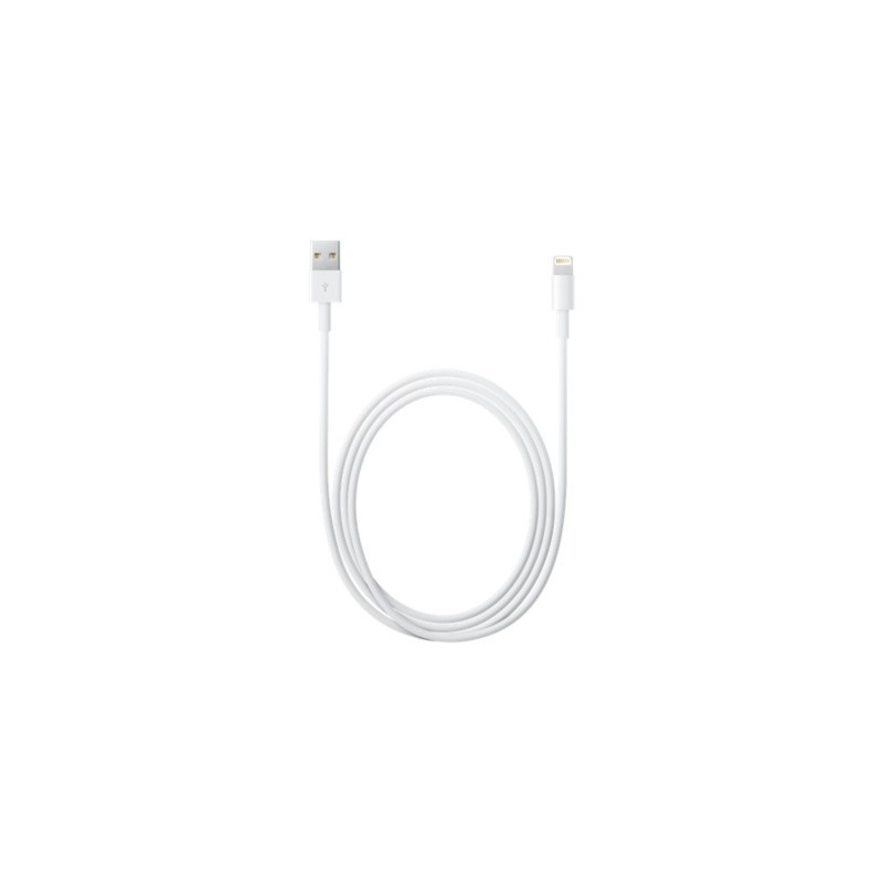 Apple Cavo da Lightning a USB (2 m)