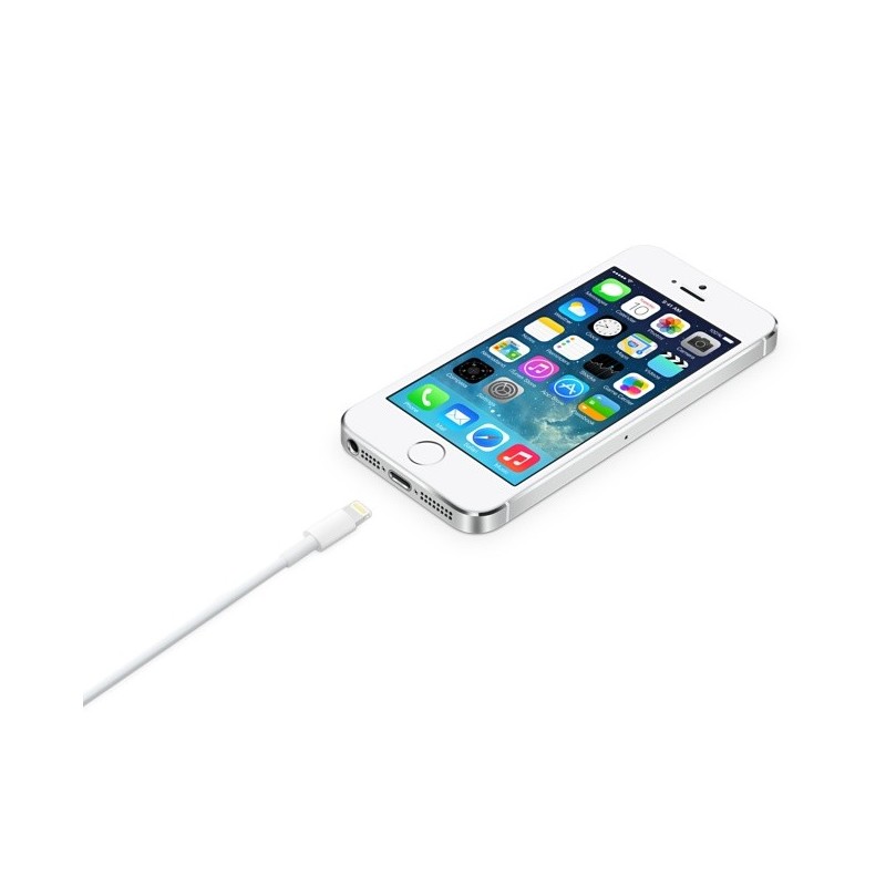 Apple Cavo da Lightning a USB (2 m)