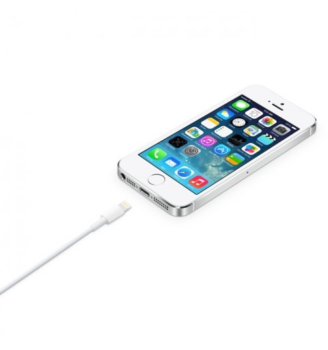 Apple Cavo da Lightning a USB (2 m)