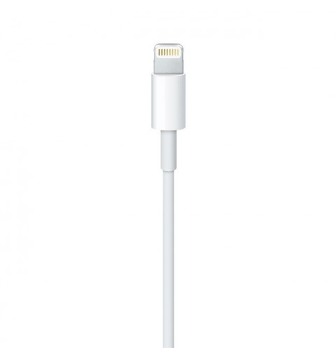 Apple Cavo da Lightning a USB (2 m)