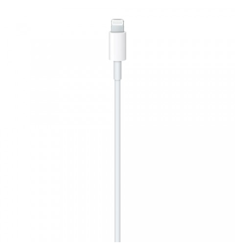 Apple MM0A3ZM A câble Lightning 1 m Blanc