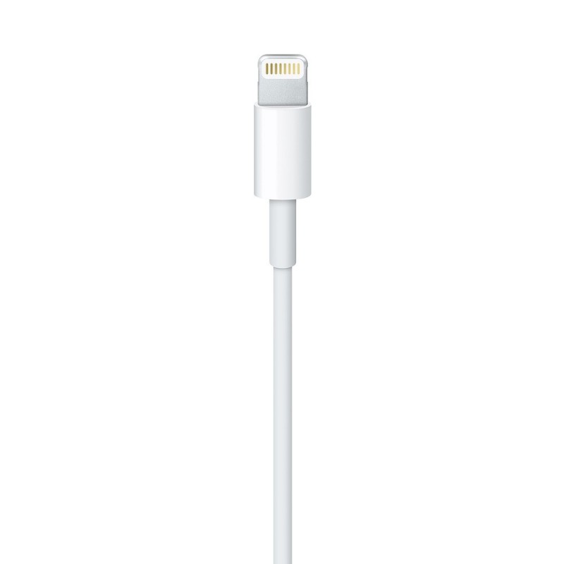 Apple Cavo da Lightning a USB (1 m)