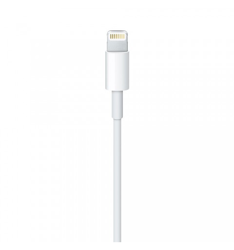 Apple Cavo da Lightning a USB (1 m)