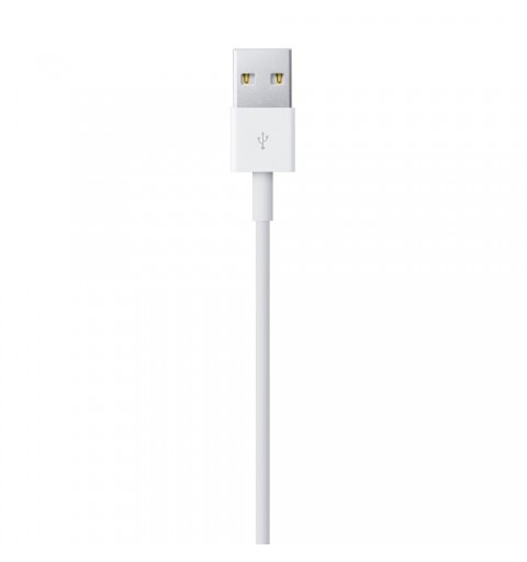 Apple Cavo da Lightning a USB (1 m)