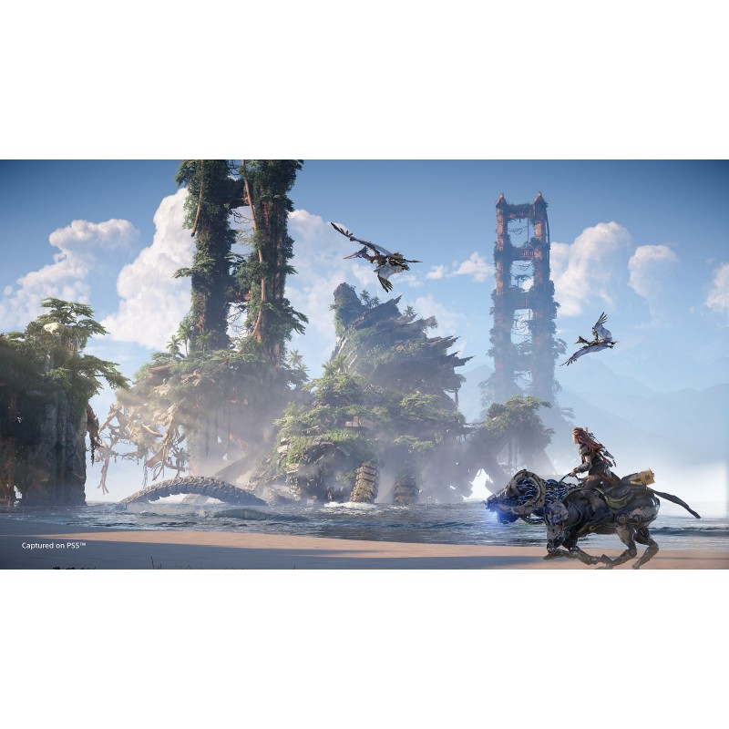 Sony Horizon Forbidden West, Special Edition Standard Arabic, German, Spanish, French, Italian, Japanese, Polish, Portuguese,