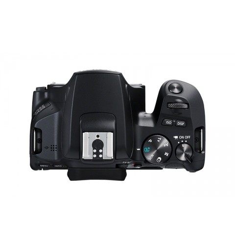 Canon EOS 250D + EF-S 18-55mm f 4-5.6 IS STM Juego de cámara SLR 24,1 MP CMOS 6000 x 4000 Pixeles Negro