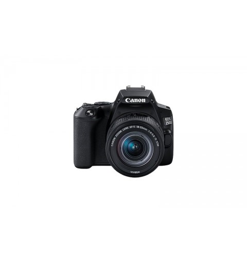 Canon EOS 250D + EF-S 18-55mm f 4-5.6 IS STM SLR Camera Kit 24.1 MP CMOS 6000 x 4000 pixels Black