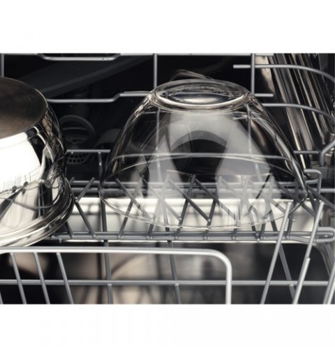 AEG FSE63617P Fully built-in 13 place settings D