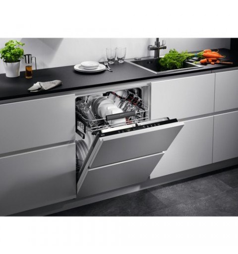 AEG FSE63617P Fully built-in 13 place settings D