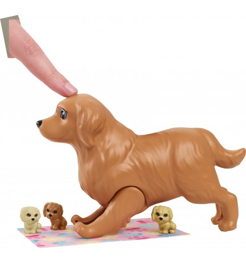 Barbie Doll And Pets