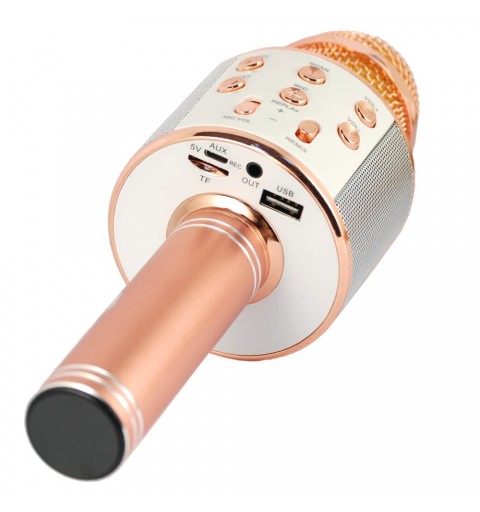 Xtreme Hollywood Rose gold, Silver Karaoke microphone