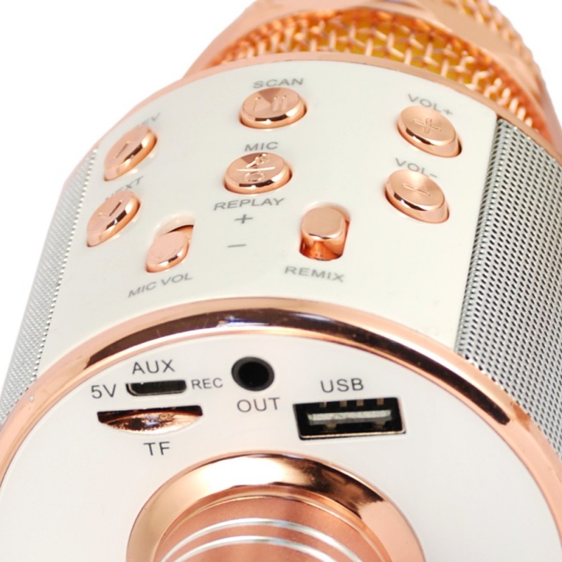 Xtreme Hollywood Rose Gold, Argento Microfono per karaoke