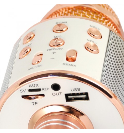 Xtreme Hollywood Rose gold, Silver Karaoke microphone