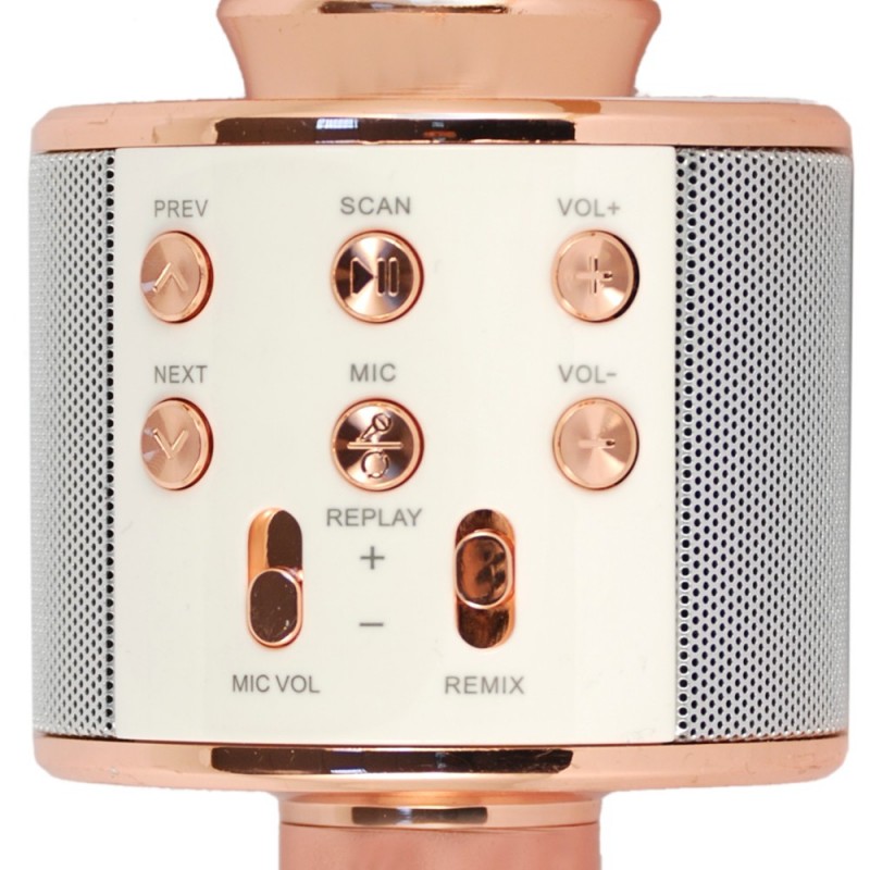 Xtreme Hollywood Rose Gold, Argento Microfono per karaoke