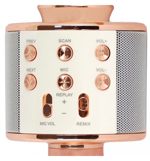 Xtreme Hollywood Rose Gold, Argento Microfono per karaoke