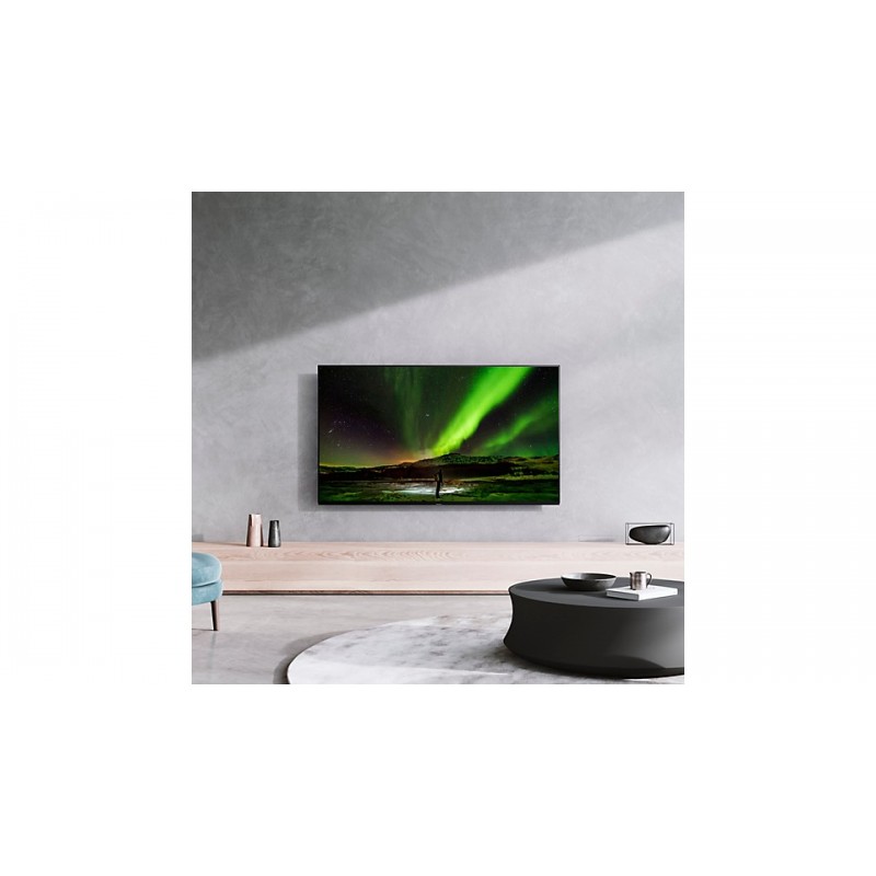 Panasonic TX-48JZ1500E Fernseher 121,9 cm (48 Zoll) 4K Ultra HD Smart-TV WLAN Schwarz