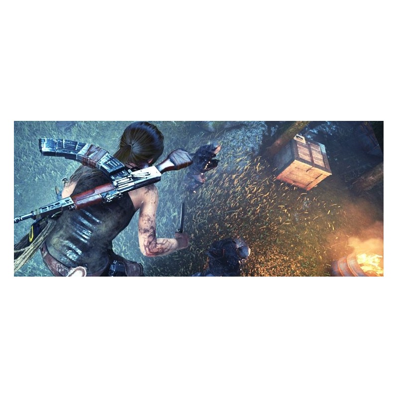 Koch Media Rise of the Tomb Raider, PlayStation 4 Standard Englisch