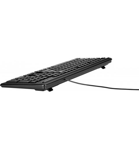 HP Tastiera Keyboard 100