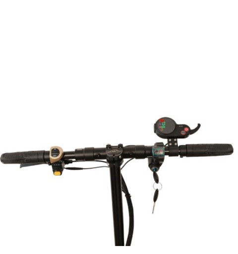 New Majestic Lewis 25 km h Black, Red
