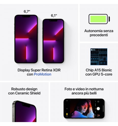 Apple iPhone 13 Pro 15,5 cm (6.1") Doppia SIM iOS 15 5G 1000 GB Grafite