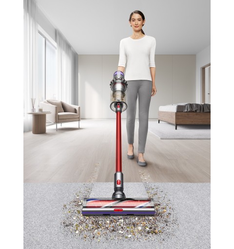 Dyson Outsize Absolute Grau, Violett, Rot Beutellos