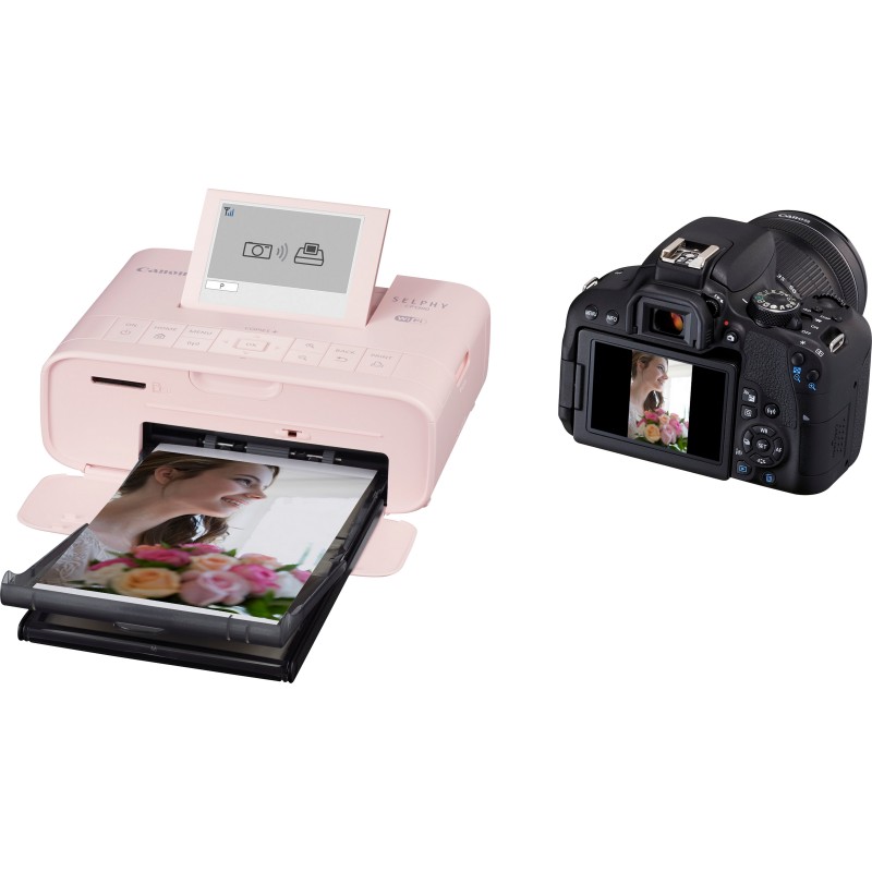 Canon SELPHY CP1300 - Rose