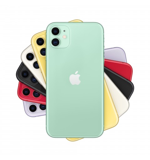 Apple iPhone 11 15,5 cm (6.1") Double SIM iOS 14 4G 64 Go Vert