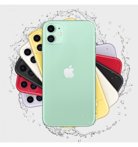 Apple iPhone 11 15,5 cm (6.1") SIM doble iOS 14 4G 64 GB Verde